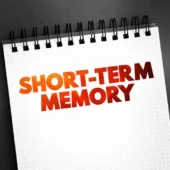 archive post